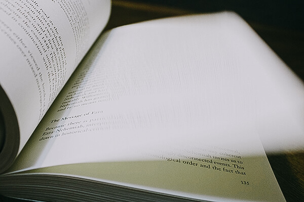 international translation agency